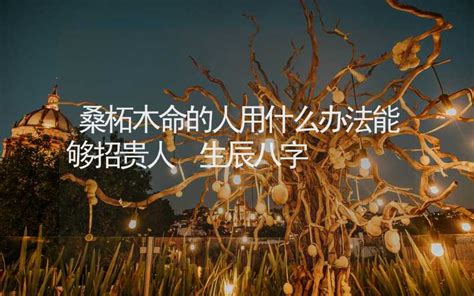 桑松木命|桑柘木命代表什么意思